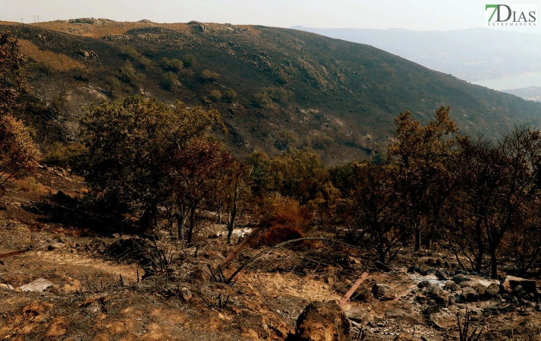 REPOR - Operativo y estado actual de la zona arrasada por el incendio desde Jerte