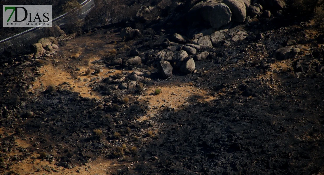Así se encuentra uno de los pueblos afectados por el incendio de Jarilla: "Volverás a florecer"