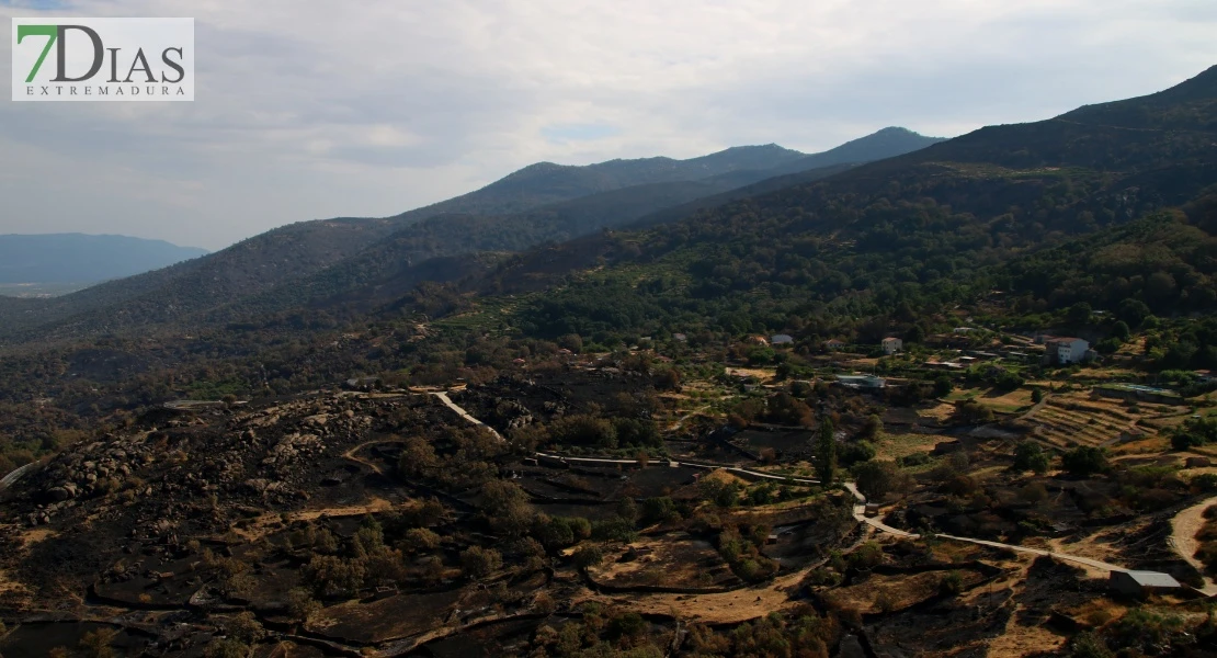 Así se encuentra uno de los pueblos afectados por el incendio de Jarilla: "Volverás a florecer"