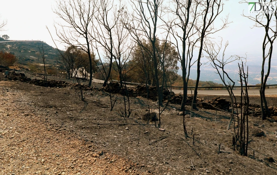 REPOR - Operativo y estado actual de la zona arrasada por el incendio desde Jerte