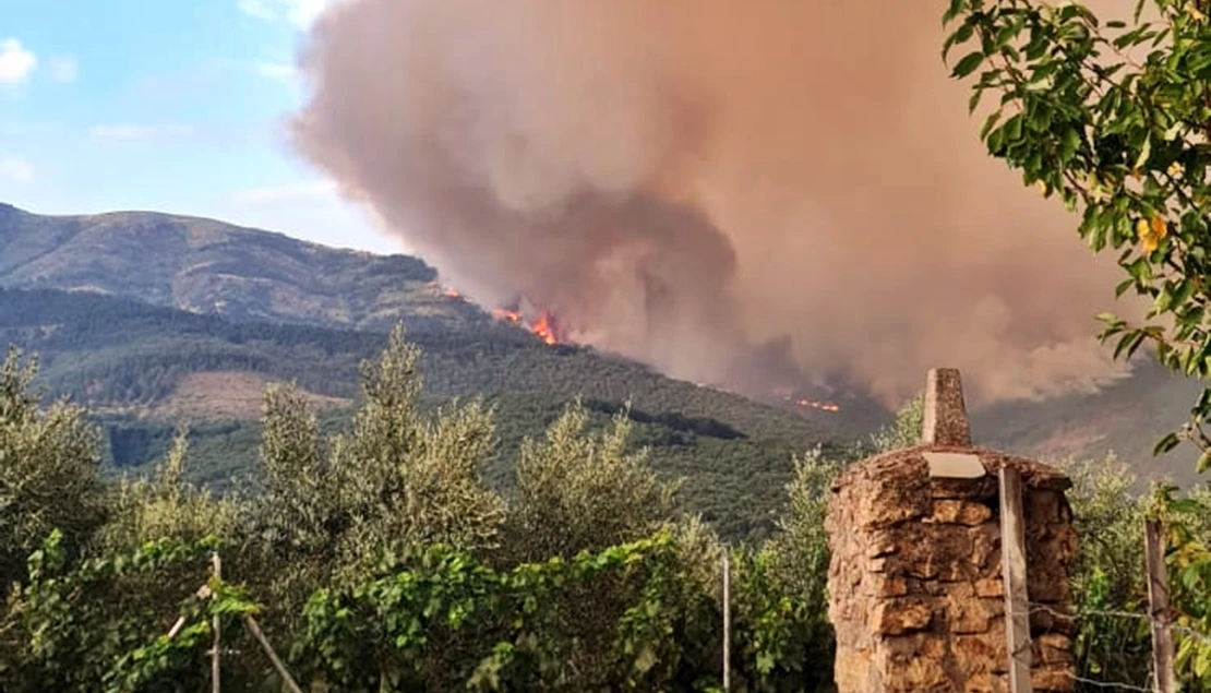 Valoran los daños causados por los incendios en Hervás
