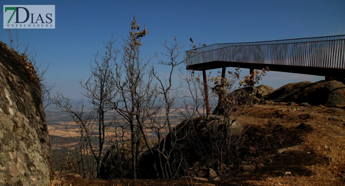 Así se encuentra uno de los pueblos afectados por el incendio de Jarilla: "Volverás a florecer"
