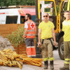 REPOR - Operativo y estado actual de la zona arrasada por el incendio desde Jerte