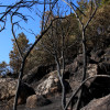 Así se encuentra uno de los pueblos afectados por el incendio de Jarilla: "Volverás a florecer"