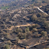 Así se encuentra uno de los pueblos afectados por el incendio de Jarilla: "Volverás a florecer"