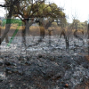 "Es un infierno desolador ver la Sierra de San Pedro, nuestra vida, así"