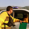 REPOR - Operativo y estado actual de la zona arrasada por el incendio desde Jerte