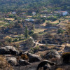Así se encuentra uno de los pueblos afectados por el incendio de Jarilla: "Volverás a florecer"