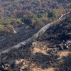 Así se encuentra uno de los pueblos afectados por el incendio de Jarilla: "Volverás a florecer"