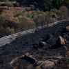 Así se encuentra uno de los pueblos afectados por el incendio de Jarilla: "Volverás a florecer"