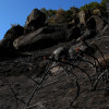 Así se encuentra uno de los pueblos afectados por el incendio de Jarilla: "Volverás a florecer"