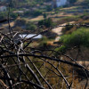 Así se encuentra uno de los pueblos afectados por el incendio de Jarilla: "Volverás a florecer"