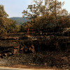 REPOR - Operativo y estado actual de la zona arrasada por el incendio desde Jerte