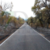 "Es un infierno desolador ver la Sierra de San Pedro, nuestra vida, así"