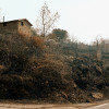 REPOR - Operativo y estado actual de la zona arrasada por el incendio desde Jerte