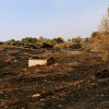 REPOR - Operativo y estado actual de la zona arrasada por el incendio desde Jerte
