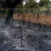"Es un infierno desolador ver la Sierra de San Pedro, nuestra vida, así"