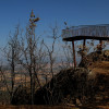 Así se encuentra uno de los pueblos afectados por el incendio de Jarilla: "Volverás a florecer"