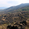 Así se encuentra uno de los pueblos afectados por el incendio de Jarilla: "Volverás a florecer"