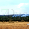 "Es un infierno desolador ver la Sierra de San Pedro, nuestra vida, así"
