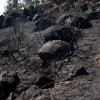 Así se encuentra uno de los pueblos afectados por el incendio de Jarilla: "Volverás a florecer"