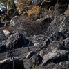 Así se encuentra uno de los pueblos afectados por el incendio de Jarilla: "Volverás a florecer"