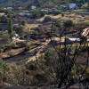 Así se encuentra uno de los pueblos afectados por el incendio de Jarilla: "Volverás a florecer"