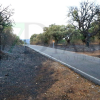 "Es un infierno desolador ver la Sierra de San Pedro, nuestra vida, así"