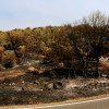 REPOR - Operativo y estado actual de la zona arrasada por el incendio desde Jerte