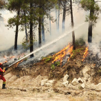 Estabilizado ya el 90 % del incendio en Las Hurdes