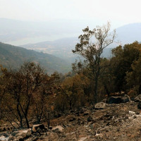 El incendio de Jarilla se da por estabilizado: "Lo hemos conseguido como pueblo. Será un ejemplo”