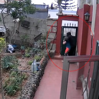 Asalta violentamente y a plena luz del día a una mujer en su vivienda
