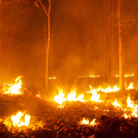 Efectos invisibles tras las llamas: advierten de graves riesgos en ríos y acuíferos tras los incendios