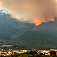 El incendio de Jarilla continúa avanzando sin control en varios frentes