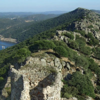 Ecologistas Extremadura va con todo contra la caza y suelta de perros en Monfragüe