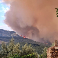 Piden suspender la caza durante un año en Extremadura en los terrenos afectados por los incendios
