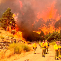 Ya son 37 los detenidos por su presunta implicación en los incendios forestales en España