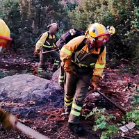 En riesgo varias viviendas por un incendio forestal en Mérida