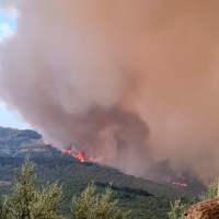 Incendios en Extremadura: qué cubren los seguros y cómo reclamar los daños