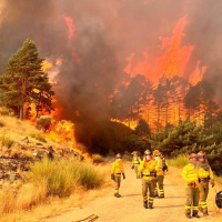 El incendio de Jarilla ya ha arrasado 11.000 hectáreas: Eslovaquia y Alemania envían medios de apoyo