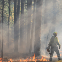 Muere otro joven voluntario que ayudaba con los incendios forestales