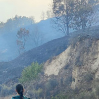 Critican a la Junta por no tener limpios los campos: "No aprendemos de los errores"