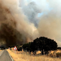 Un incendio forestal cerca de Llerena obliga a cortar la EX-103