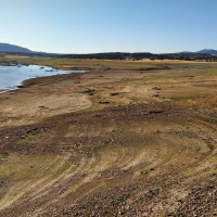 Vacían un embalse cacereño para erradicar una especie invasora y "es peor el remedio que la enfermedad"