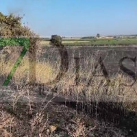 Momentos de tensión en Pueblonuevo del Guadiana por un incendio cercano a viviendas