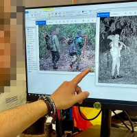 Cuatro detenidos por abatir varios ciervos en Badajoz de manera furtiva