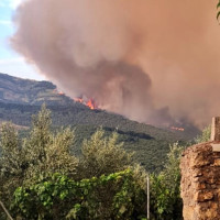 Valoran los daños causados por los incendios en Hervás