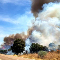 Activan el nivel 1 de peligrosidad por un incendio cerca de Don Benito