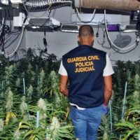 Detienen a un vecino pacense por cultivar marihuana en su casa