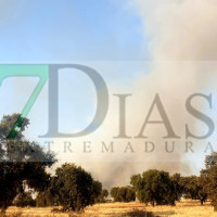 Un incendio a las afueras de Badajoz amenaza viviendas: activan el nivel 1 del Plan Infoex